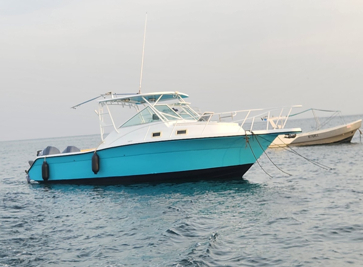 Half day fishing charter