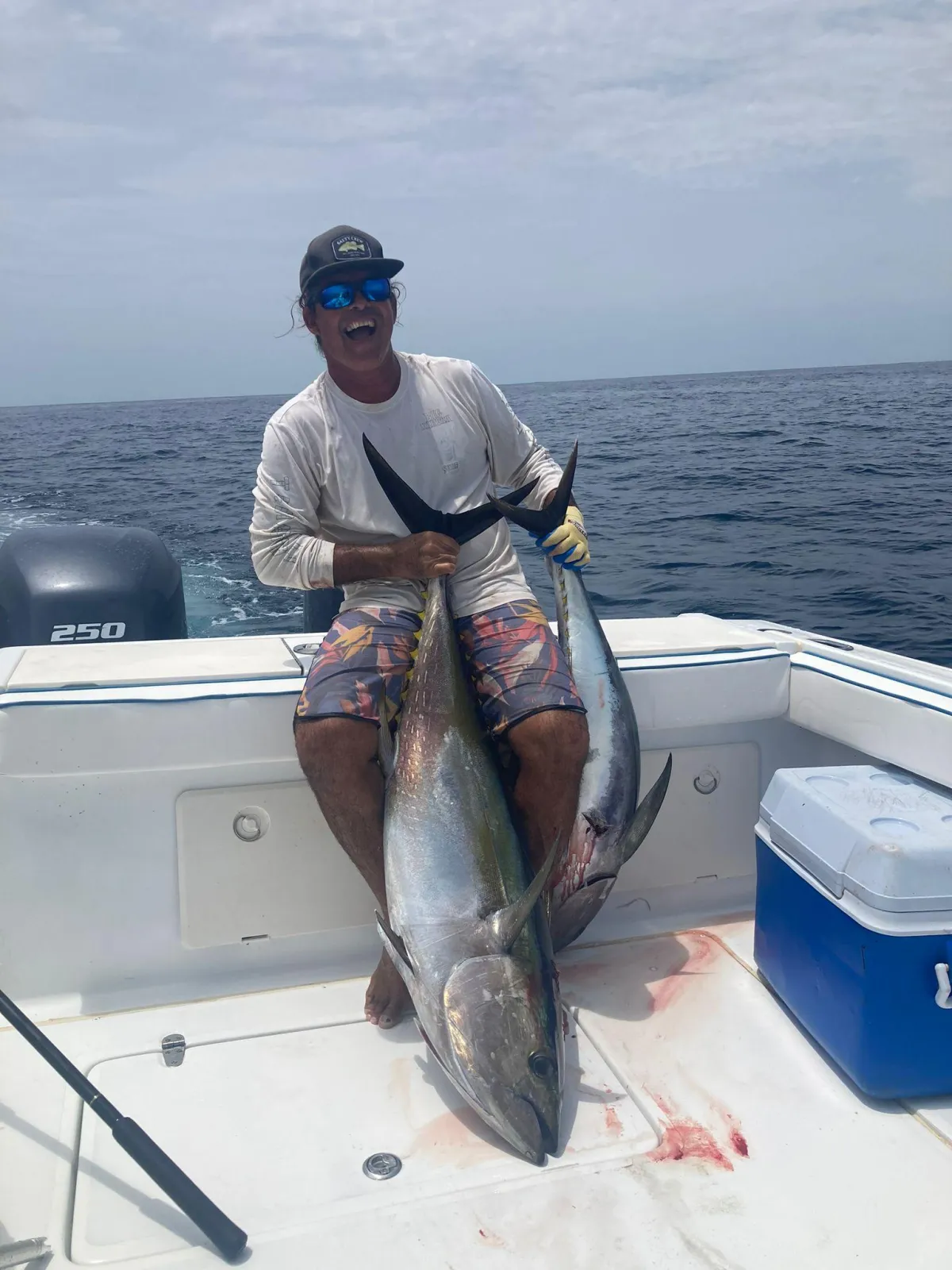 Big yellowfin tuna catch